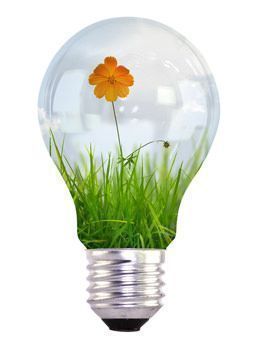 Sustainable lighting Investing in led
